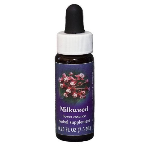 MILKWEED ESS 7,5ML CALF — confronto prezzi