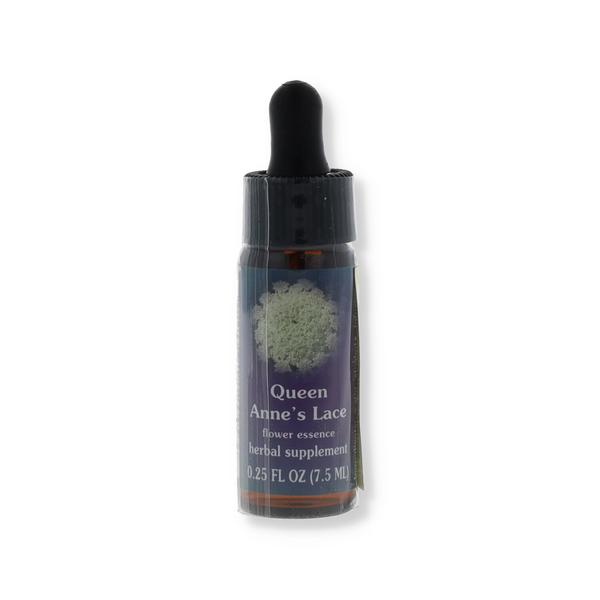 Queen annes lace 7,4ml calf