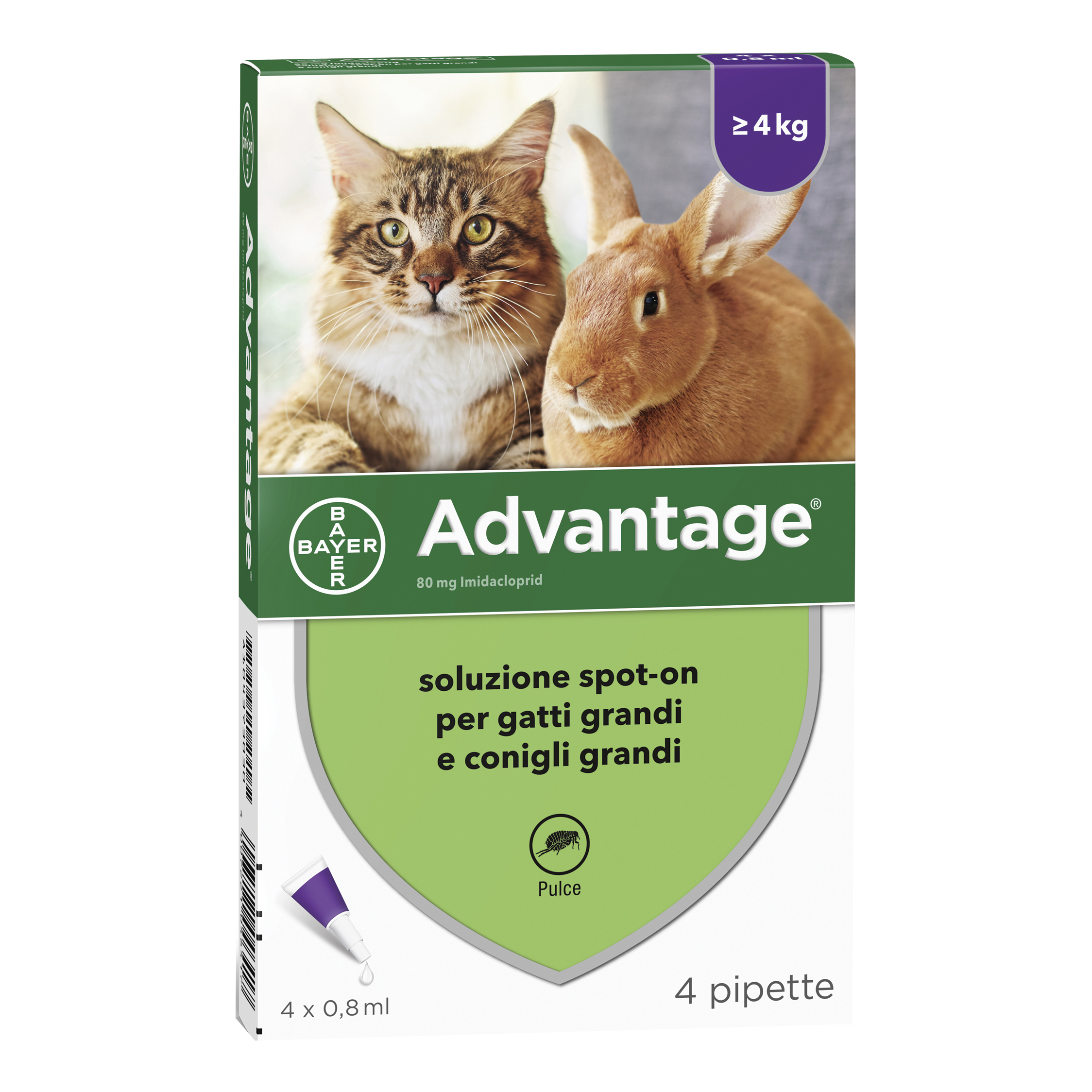 Advantage*4pip 0,8ml spoton — confronto prezzi