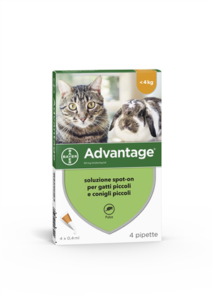 Advantage 40 mg Soluzione Antiparassitaria Spot-On Gatti e Conigli 4 Pipette — confronto prezzi