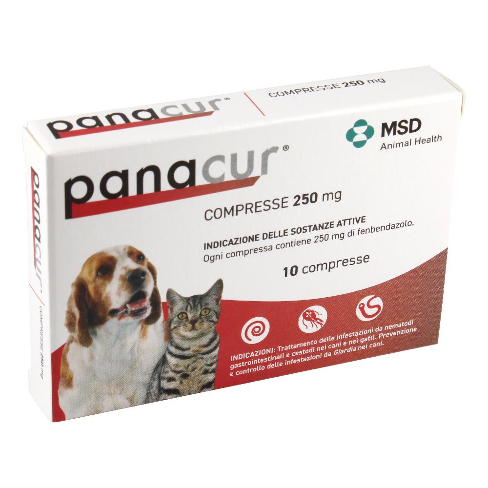 PANACUR*10CPR 250MG CAN/GAT