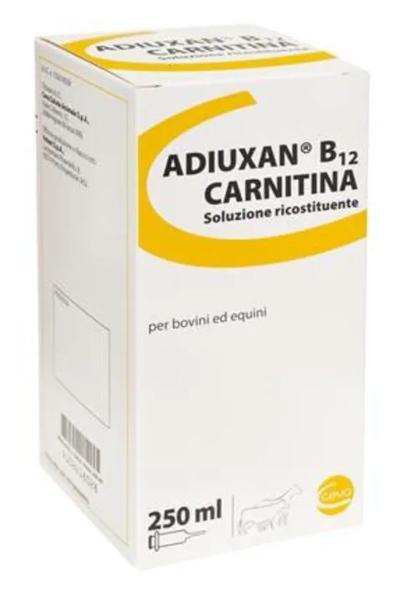 Adiuxan B12 Carnitina Flacone 250 ml