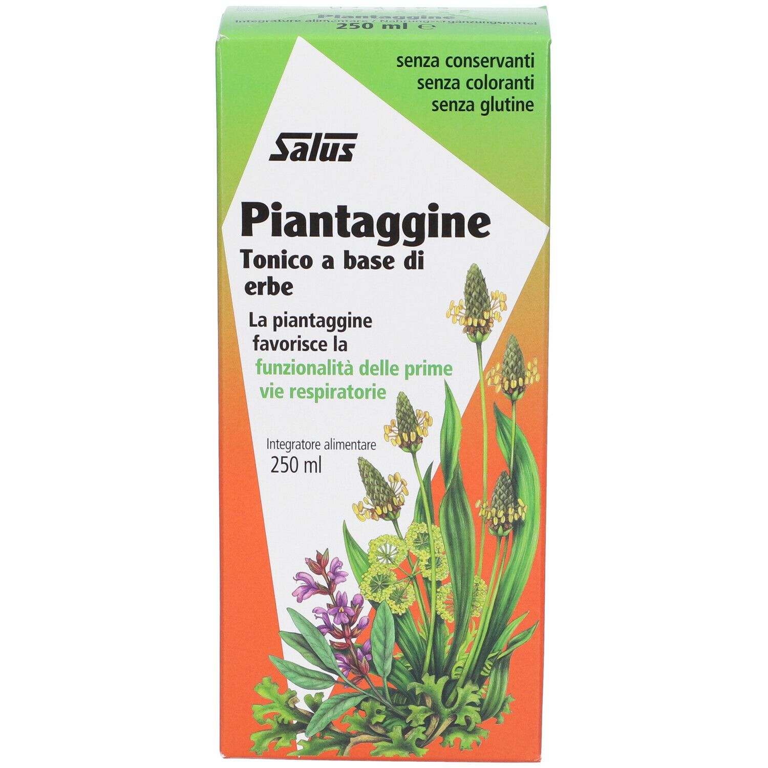 Piantaggine 250 ml