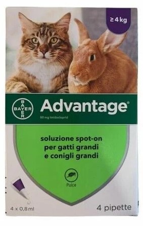 Advantage*4pip 0,8ml Spoton — confronto prezzi