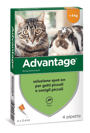 Advantage 40 mg Soluzione Antiparassitaria Spot-On Gatti e Conigli Piccoli 4 Pipette — confronto prezzi