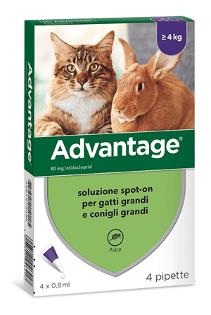 Advantage 80mg Soluzione Spot-On Gatti e Conigli Grandi 4 Pipette