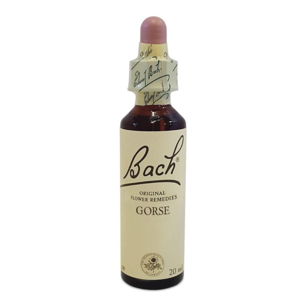 GORSE NTU*BC ESS 20ML — confronto prezzi