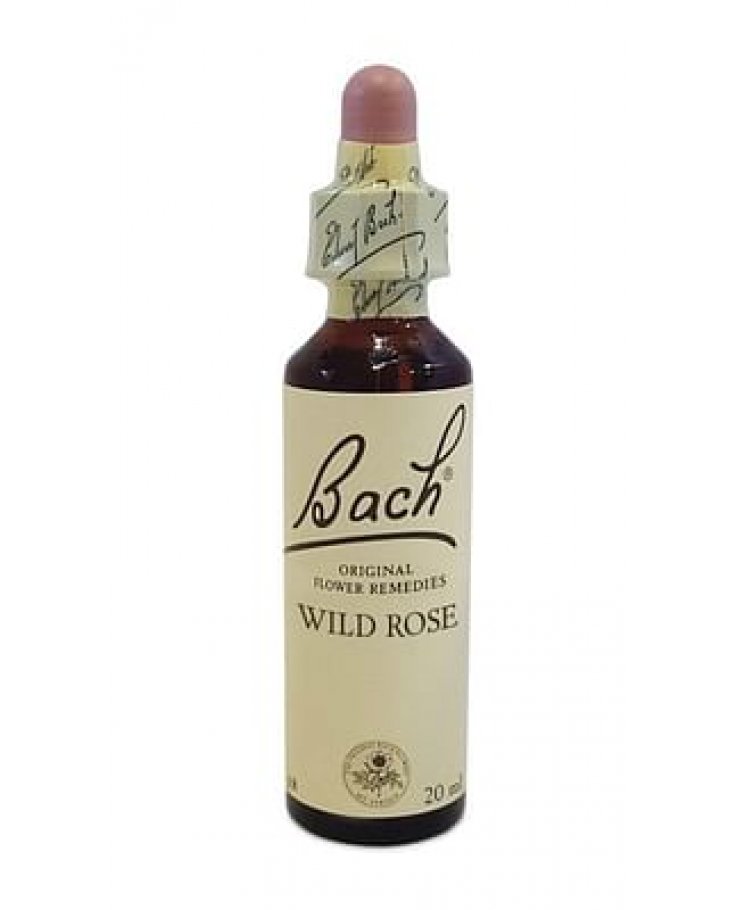 Bach Center essenza Wild Rose 20 ml - fiore di Bach Wild Rose per apatia e rassegnazione