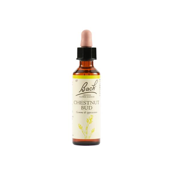 Schwabe Fiori di Bach 07 Chestnut Bud Gocce 20 ml