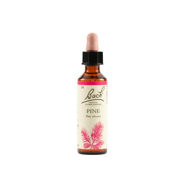 Schwabe Pharma Fiori di Bach Pine 20 ml Gocce orali — confronto prezzi