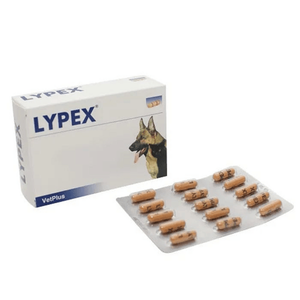 Lypex Integratore Alimentare Pancreatico Per Animali Domestici 60 Capsule