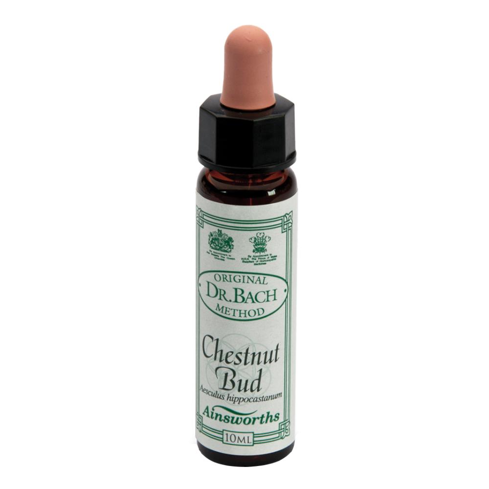 Ainsworths Dr.Bach n°7 Chestnut Bud Aesculus Hippocastanum 10 ml Gocce orali