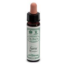 Ainsworths Dr.Bach n°13 Gorse Ulex Europaeus 10 ml Gocce orali — confronto prezzi
