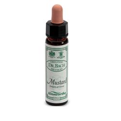 Ainsworths Dr.Bach n°21 Mustard Sinapis Arvensis 10 ml Gocce orali