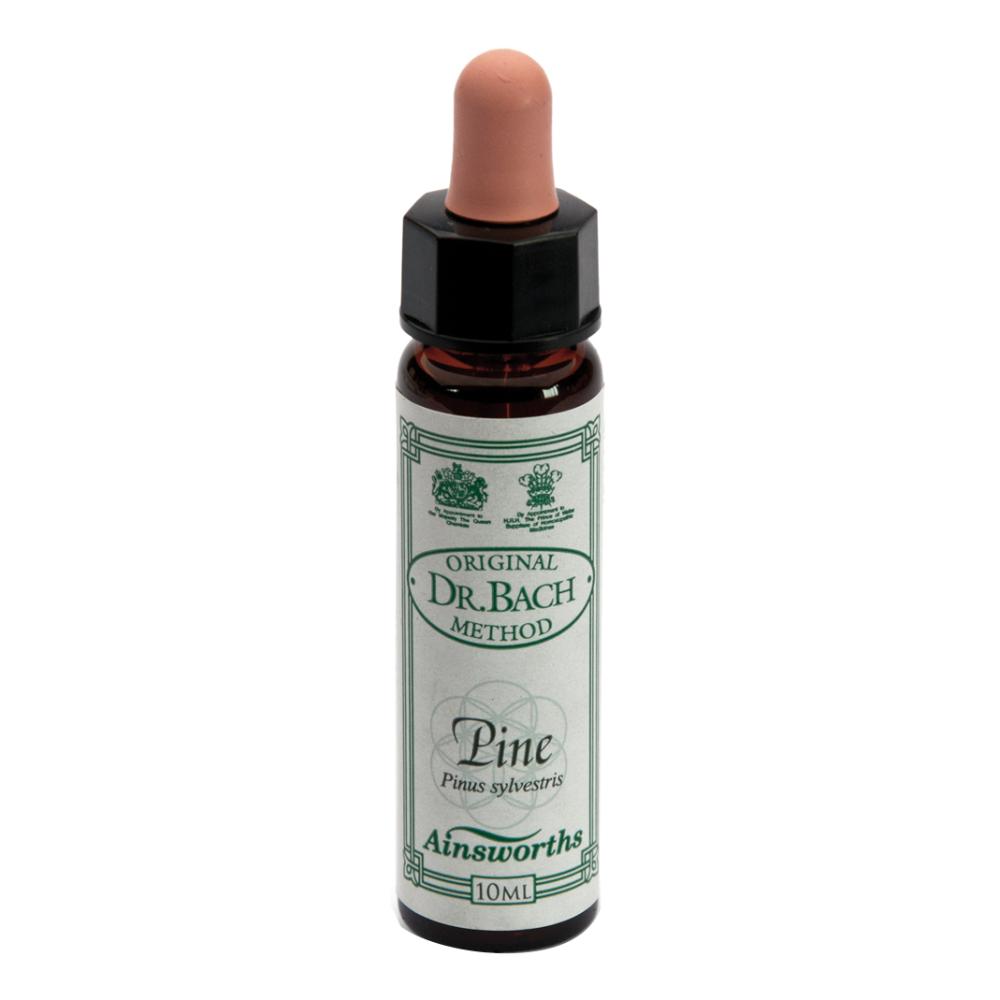 Ainsworths Pine 10Ml 10 ml Gocce orali — confronto prezzi