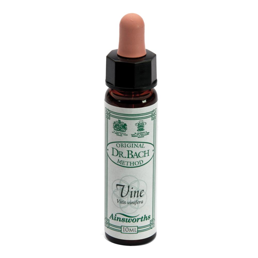 VINE 10ML AINSWORTHS — confronto prezzi