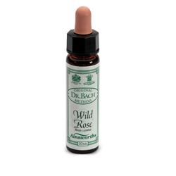WILD ROSE 10ML AINSWORTHS — confronto prezzi
