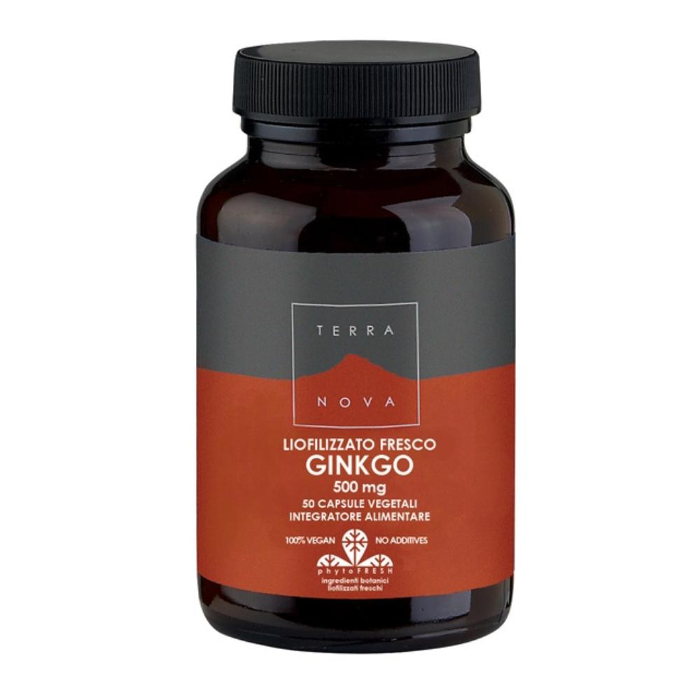 Terranova Memoria e Funzioni Cognitive - Foglie di Ginkgo 500mg, 50 Capsule