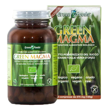 GREEN MAGMA 320TAV 120G — confronto prezzi