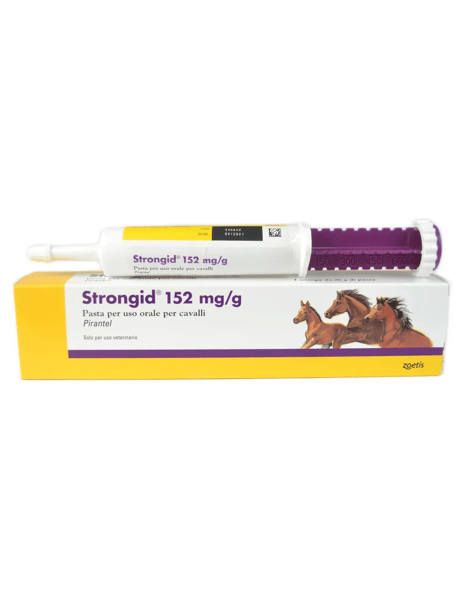 Strongid 152mg/g Pasta Orale Per Cavalli
