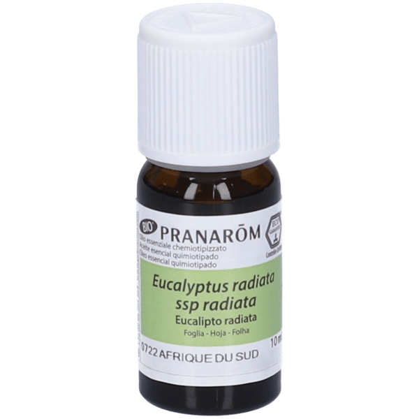 Pranarôm Olio Essenziale BIO Eucalyptus Radiata 10 ml Respiratorio Stimolante