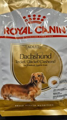 BHN DACHSHUND ADULT 500G
