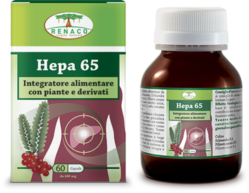 HEPA 65 60 Cps