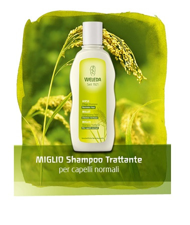 Miglio shampoo 190ml — confronto prezzi