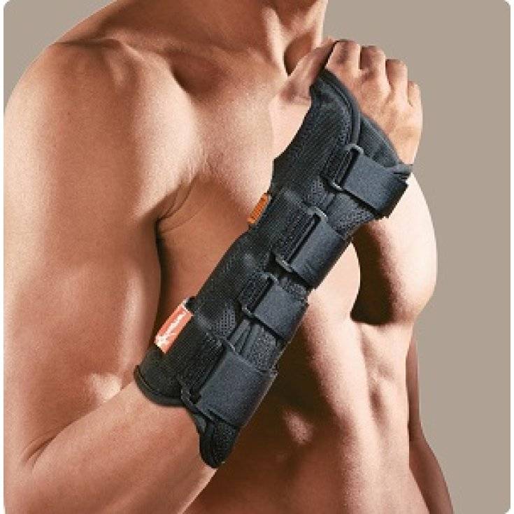 Polfit Polsiera semplice Destra 21 XL — confronto prezzi