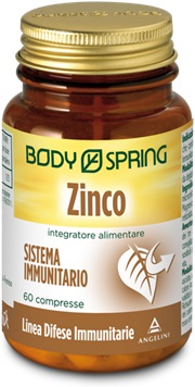 BS BIO ZINCO 60CPR 350MG