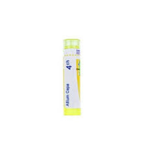 Allium cepa 4ch gr — confronto prezzi