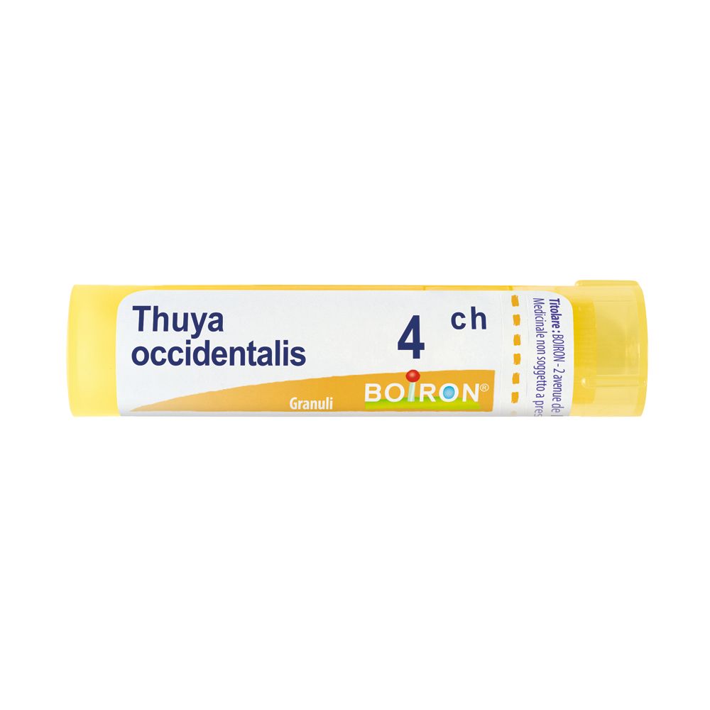 Thuya Occident 4ch Gr — confronto prezzi