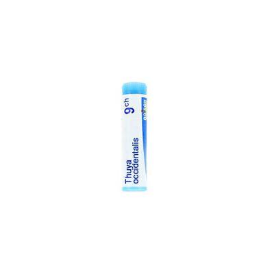 Boiron Thuya Occident 9CH Globuli Tubo — confronto prezzi