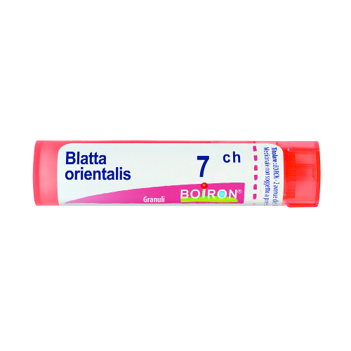 Blatta Orientalis 7ch Gr — confronto prezzi