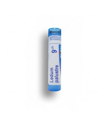 Boiron Ledum Palustre 9CH Globuli Tubo — confronto prezzi