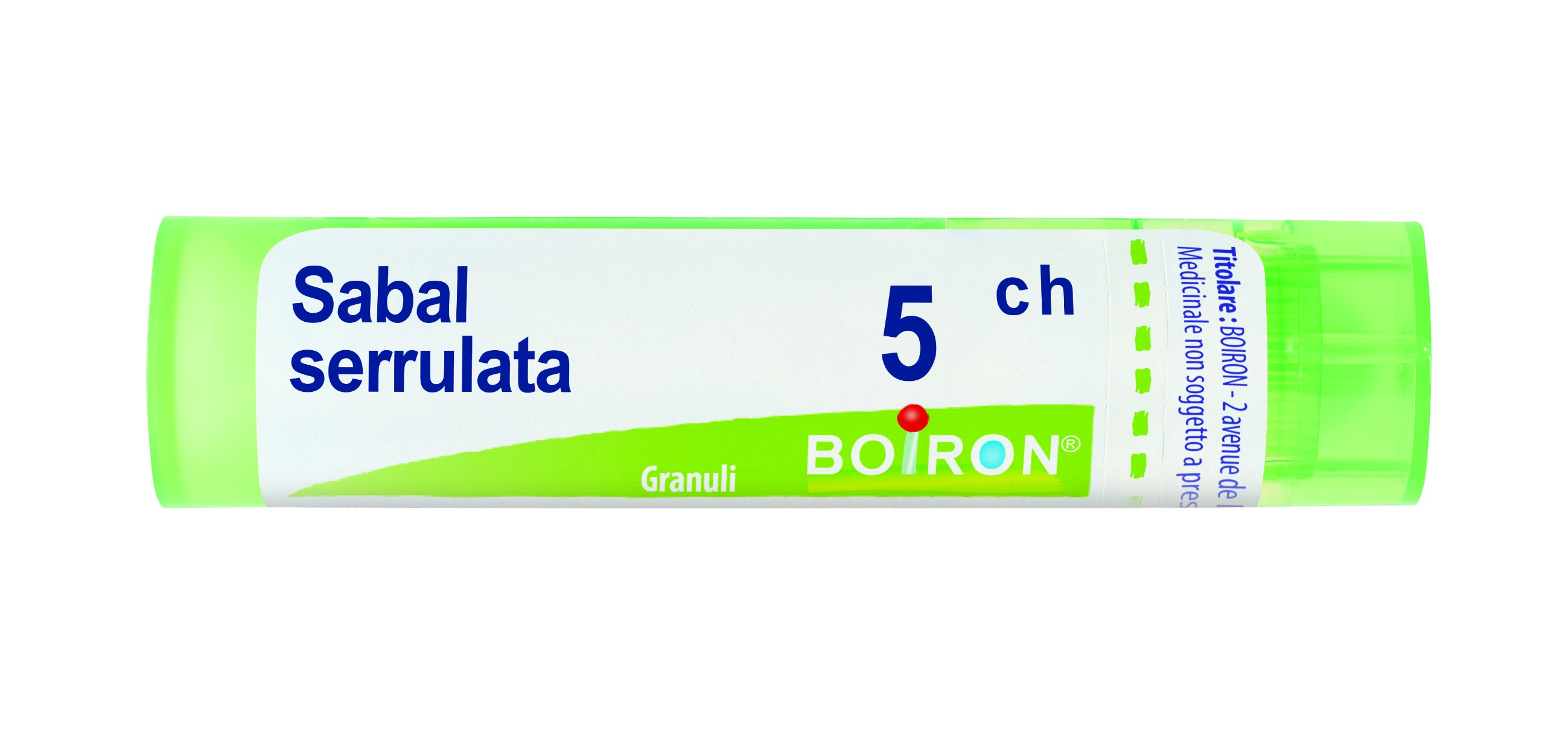 Sabal serrulata 5ch gr bo — confronto prezzi