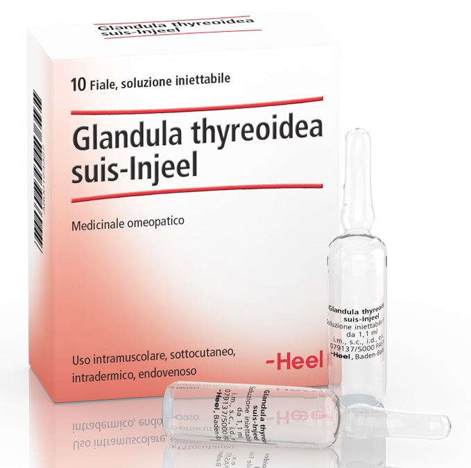 Guna Heel Glandula thyreoidea suis-injeel 10 Fiale — confronto prezzi