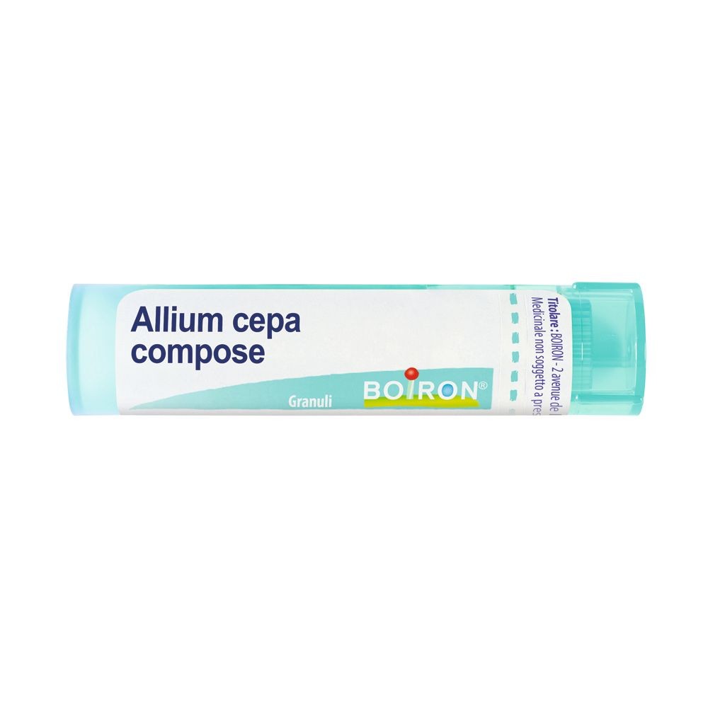 Allium cepa comp gr bo — confronto prezzi