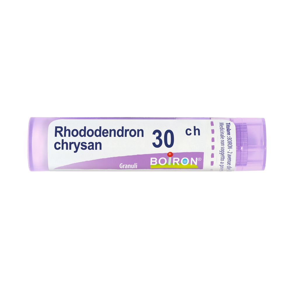 BO.RHODODENDRON CHRYSAN30CH — confronto prezzi