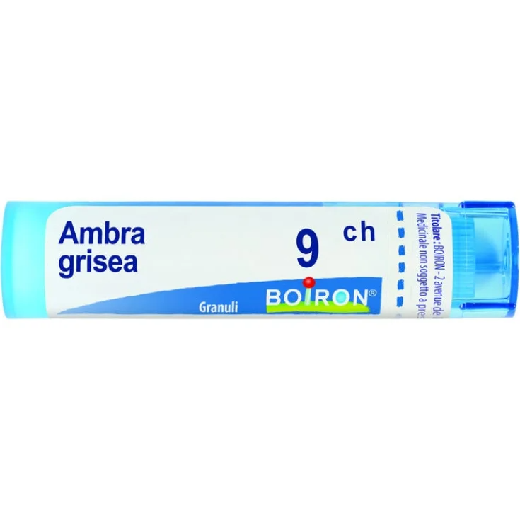 Ambra grisea 9ch gr bo — confronto prezzi