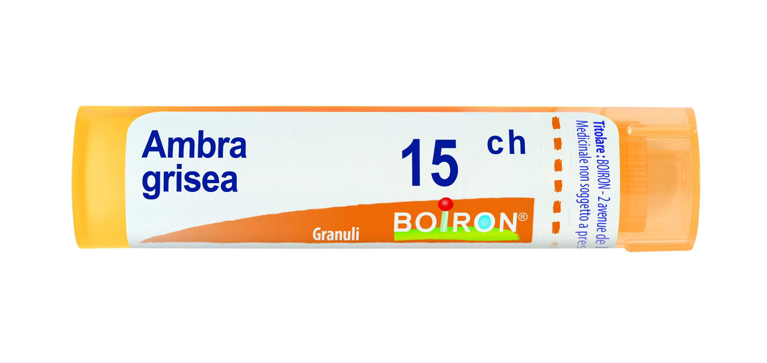 Ambra grisea 15ch gr bo — confronto prezzi