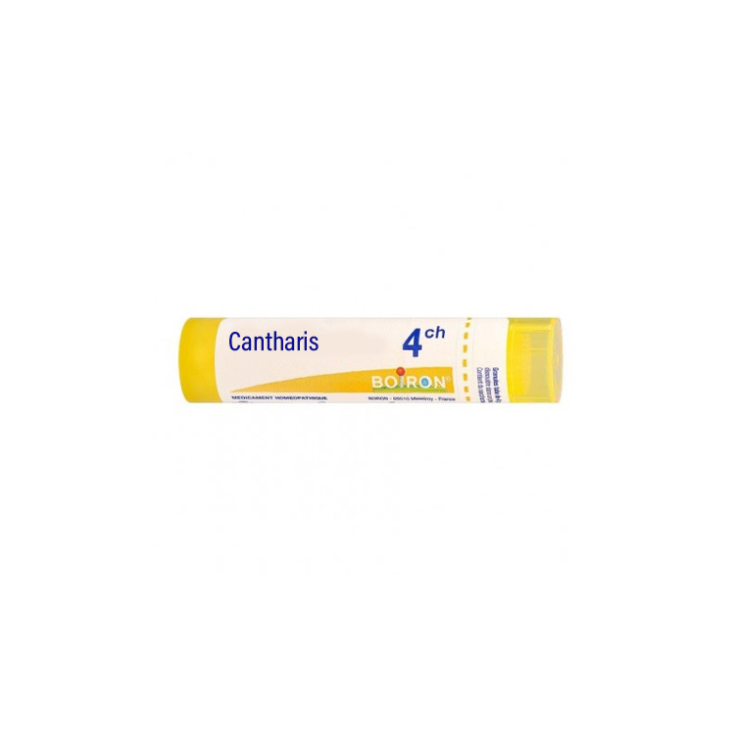 Cantharis 4ch gr — confronto prezzi