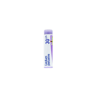 BoironLedum Palustre 30CH Globuli Tubo — confronto prezzi