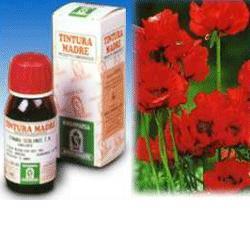 Papavero california 13 50ml tm — confronto prezzi