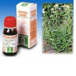 Achillea 51 Tintura Madre 50 ml — confronto prezzi