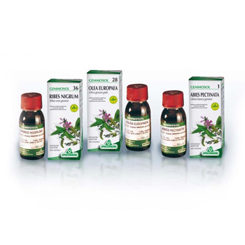 Gemmosol 24 Fico 50Ml 50 ml Soluzione orale — confronto prezzi