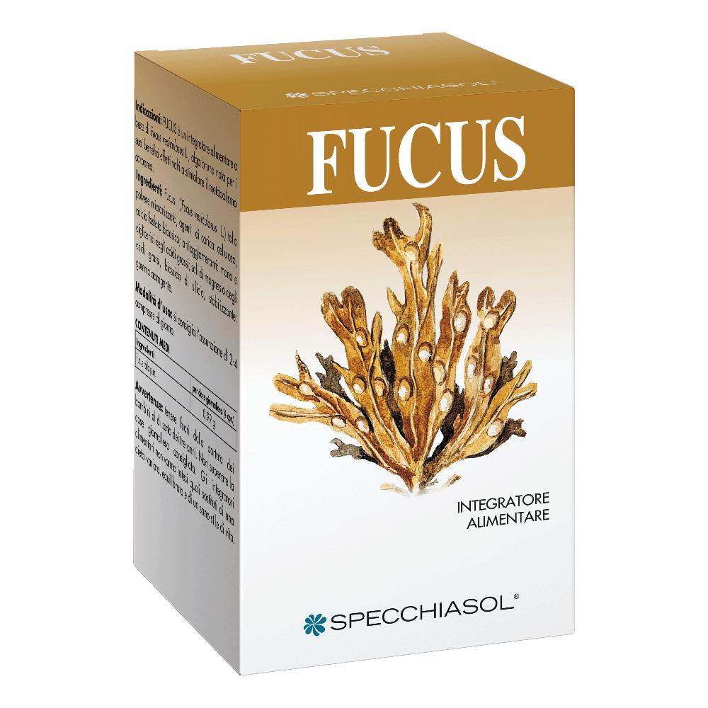 Specchiasol Fucus Erbe 150 Tavolette — confronto prezzi