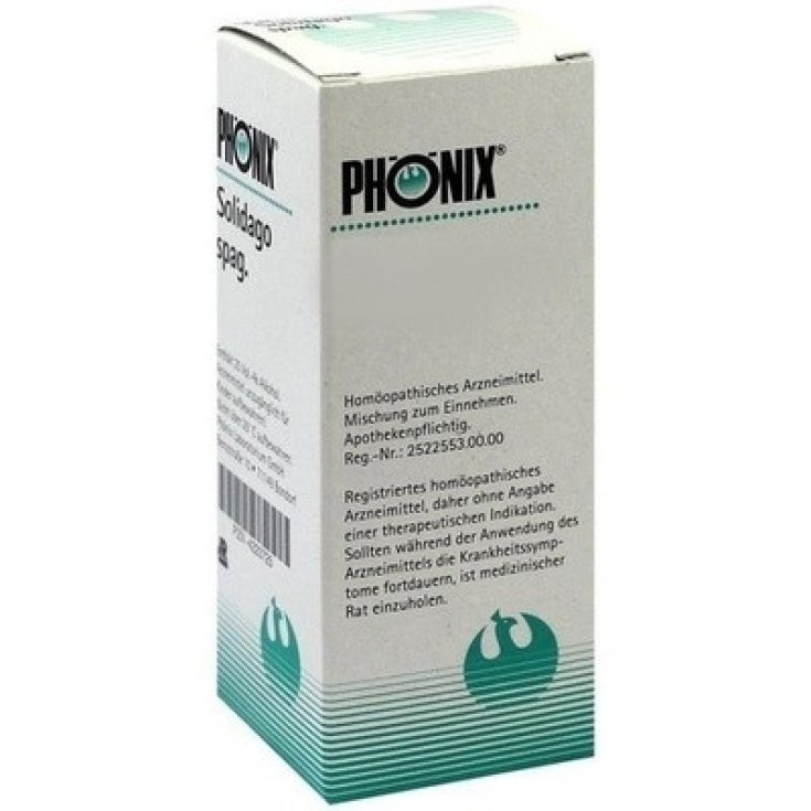 BRYONIA ALBA 12LM 10ML GTT