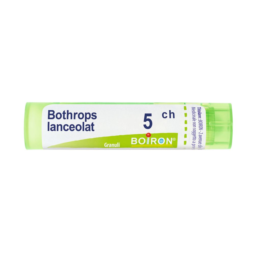 BO.BOTHROPS LANCEOLATUS 5CH GR — confronto prezzi