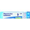 RANUNCULUS BULBOSUS Tubo 9CH — confronto prezzi
